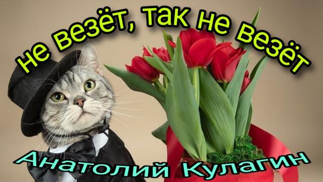 Анатолий Кулагин💥НЕ ВЕЗЁТ, ТАК НЕ ВЕЗЁТ