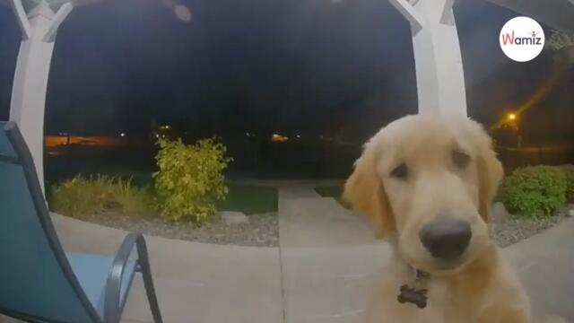 Watch : Doorbell rings in the night; homeowner stunned when he opens the door
