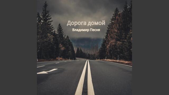 Владимир Песня  -   Дорога домой
