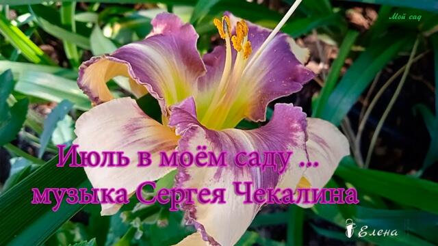 Музыка Сергея Чекалина  -  "Вода и камни" /Июль в моём саду  .....