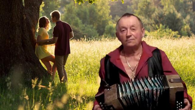 Сергей Черников    -   Стояла чудная сосна.