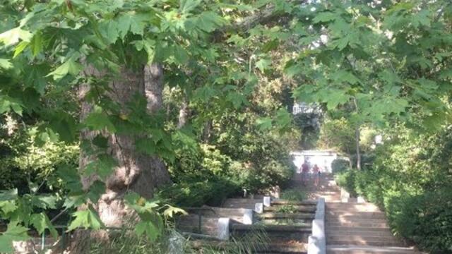 Ботанический Сад в Ялте под Прекрасную Музыку Сергея Чекалина!