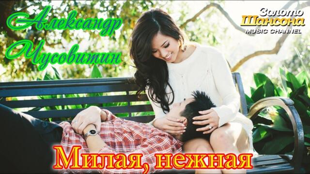 АЛЕКСАНДР ЧУСОВИТИН  - МИЛАЯ, НЕЖНАЯ/ Золото Шансона!