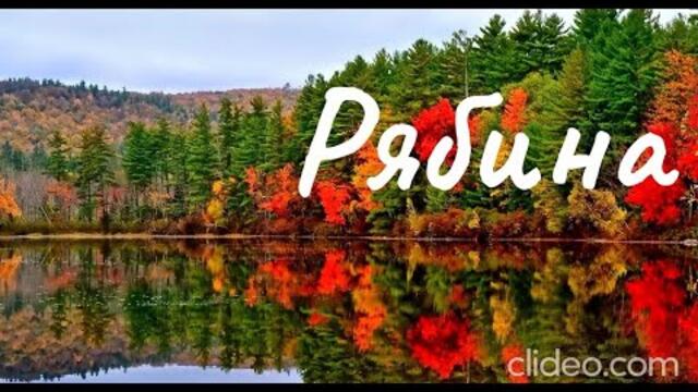 Шансон Леха2стакана - Рябина