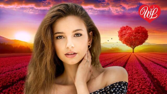 Сергей Завьялов   -   СКОЛЬКО МНЕ РАЗЛУКЕ ЗАПЛАТИТЬ ♥ ПЕСНИ НАШЕГО ДВОРА ♥ ДВОРОВЫЕ ХИТЫ В ДОРОГУ