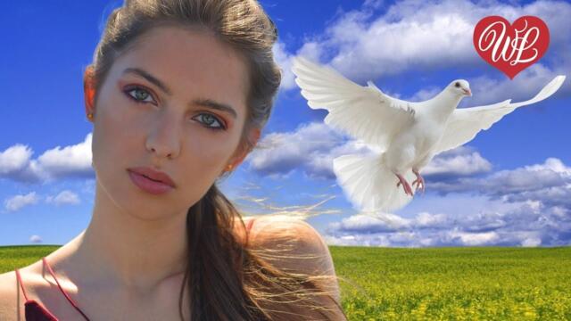 Надежда Кадышева и Ансамбль "Золотое Кольцо", Марина Девятова   -   ГОЛУБКА БЕЛАЯ