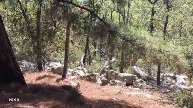 Солнечная Тропа в Ялте под Красивую Мелодию Сергея Чекалина!