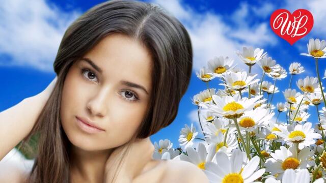 САДко   -   НА РОМАШКАХ НЕ ГАДАЙ