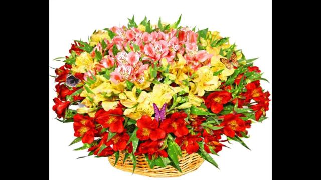 Андрей Косинский   -   Мама ты была права