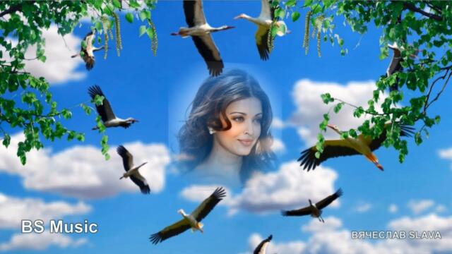 Вадим Наместников - Стая журавлей