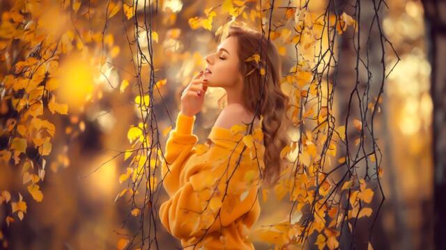 Прекрасные мелодии до слёз ... Звук тишины! Три месяца я слушал только эту мелодию! Сергей Чекалин