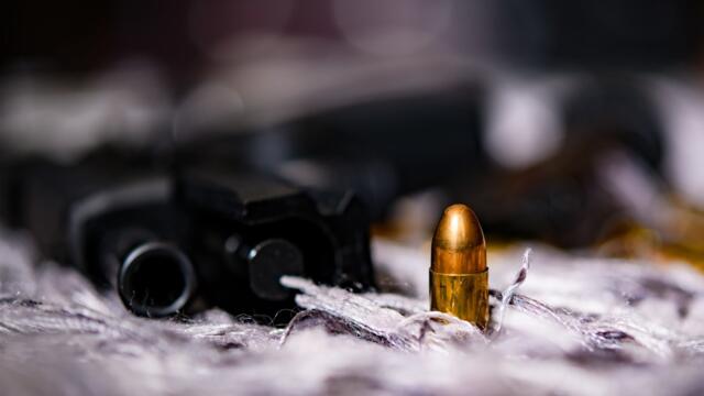 Illinois Supreme Court Bans Semi-Automatic Weapons