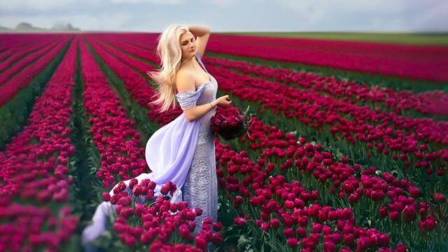 Зажигательные песни Аж до мурашек Остановись постой Сергей Чекалин ...🔥Лучшие мелодии для души