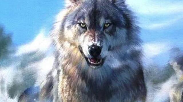 KORG PA-700  -  А волки гораздо добрее людей