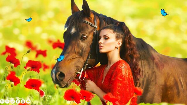 Шикарная музыка! Это лучшая музыка для души! Послушайте...Такая красивая мелодия, что я плачу слушая