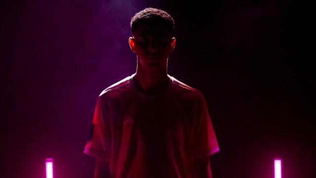 Anuncio de Nadir por Porcinos