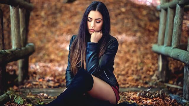 Александр Вестов /  Новые Хиты в Дорогу 2023