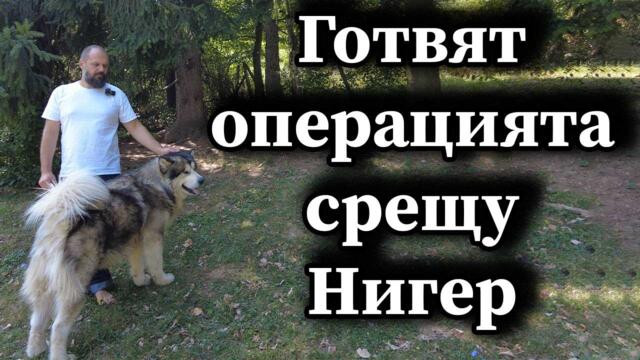 Готвят операцията срещу Нигер - Димна завеса