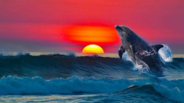 "ДОРОГА В НЕБЕСА" Три месяца я слушала только эту музыку... Самая красивая музыка на свете