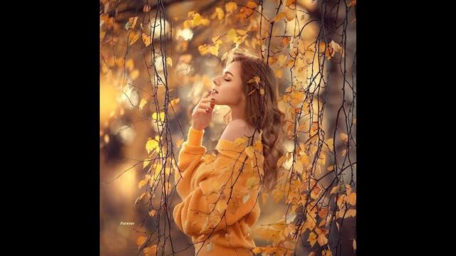 Вячеслав Сидоренко  -  Снова осень