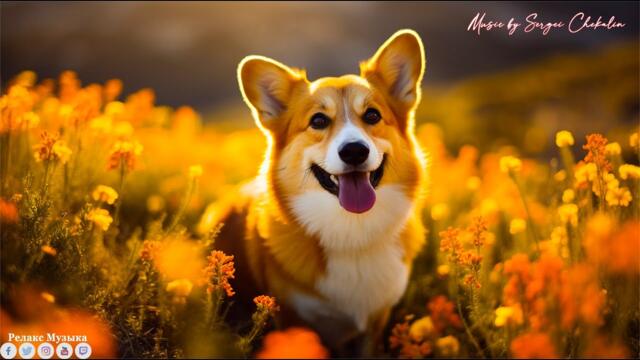 Зажигательные песни Аж до мурашек Остановись постой С.Чекалина!