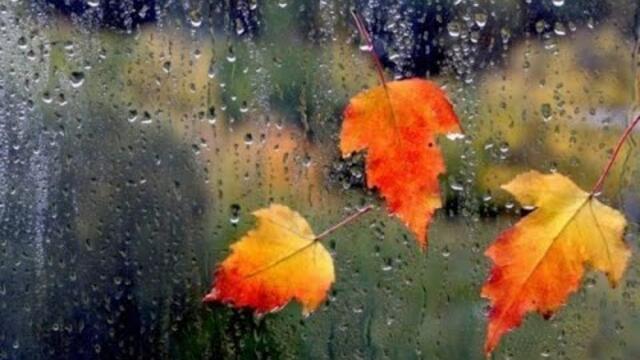 Геннадий Калько   -  "Серый дождь"   Геннадий Калько