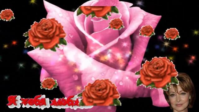 Андрей Шпехт  -  Эти Розы Только Для Тебя !