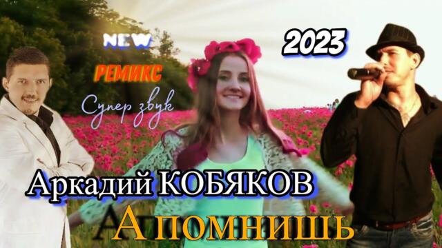 Аркадий Кобяков  - А помнишь (Remix 2023)