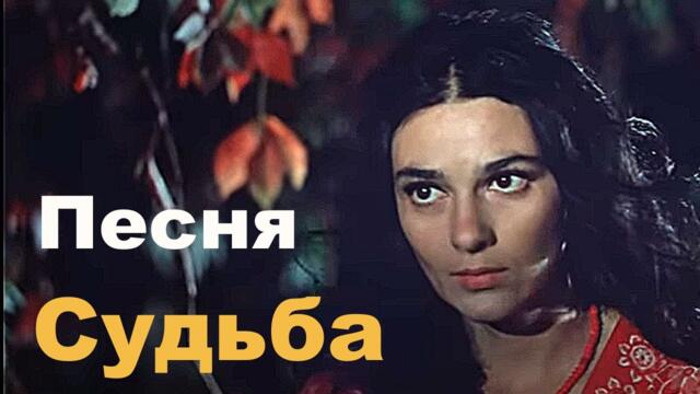 Виктор Рыжков   -   Судьба