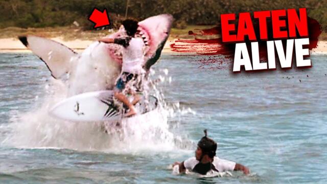 Eaten Alive By Sharks MARATHON!