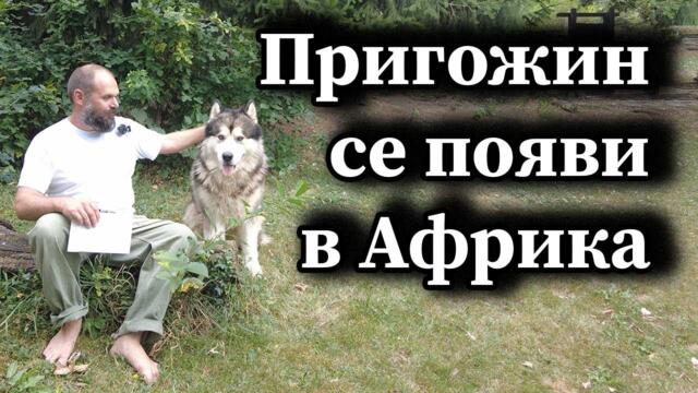 Пригожин се появи в Африка - Димна завеса, А. СИВИЛОВ