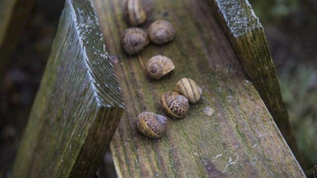 L'amour est dans le pré - Episode 1