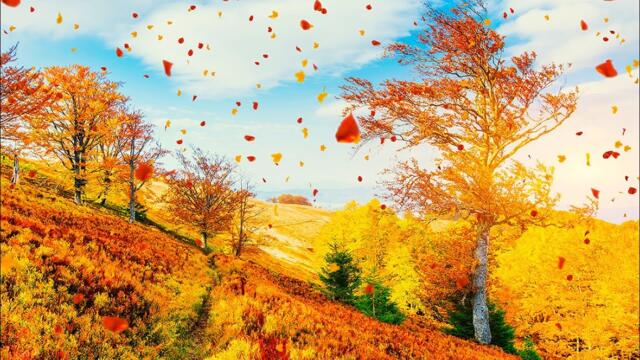 Лесной путь!Три месяца я слушала только эту музыку!Успокаивающая музыка лечит сердце!Красивая осень!