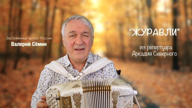 ВАЛЕРИЙ СЁМИН  -  Песня о дружбе "ЖУРАВЛИ" под баян. Из репертуара Аркадия Северного