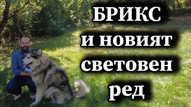 БРИКС и новият световен ред - А. Сивилов