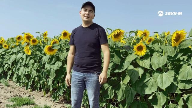 Валерий Милютин - Трактористы