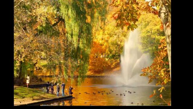 Vasilakis  -  ТАНГО ОСЕНИ