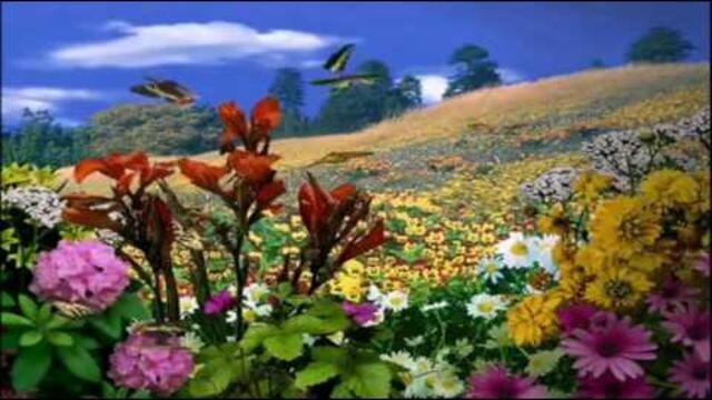 Аркадий Кобяков  -  Остановить бы мне время