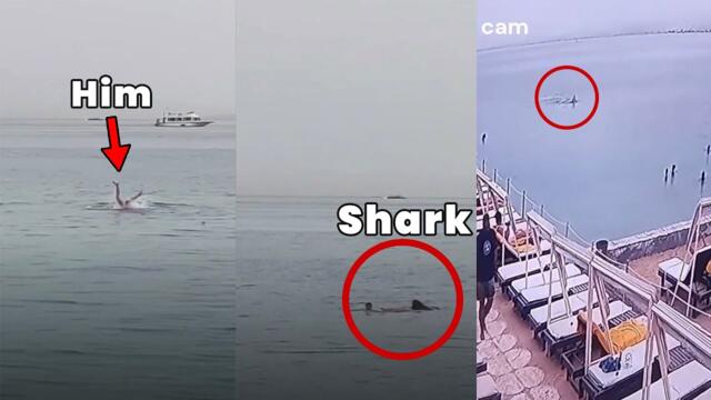 Brutal Shark Attack In Egypt | All Footage
