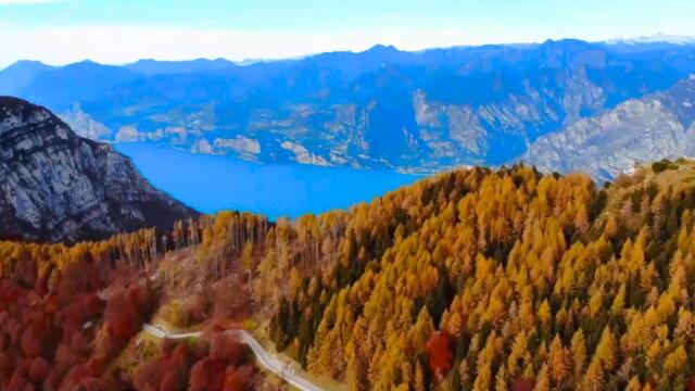 Root Chakra Healing Music for Stress Relief & Inner Peace | Reduce Anxiety & Depression | 396 Hz