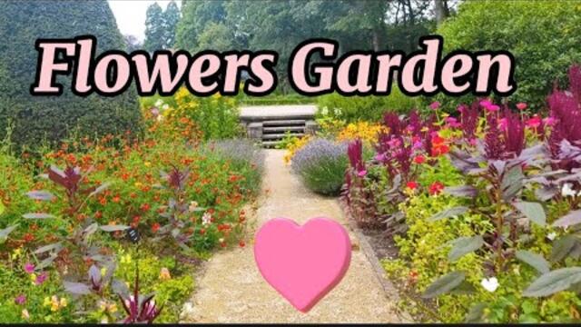 Мой любимый сад цветов.Такие цветы вы еще не видели. Август 2023