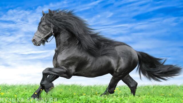 Эту музыку можно слушать вечно !!! Самая Красивая Музыка на Свете! Песни, которые тронут душу…