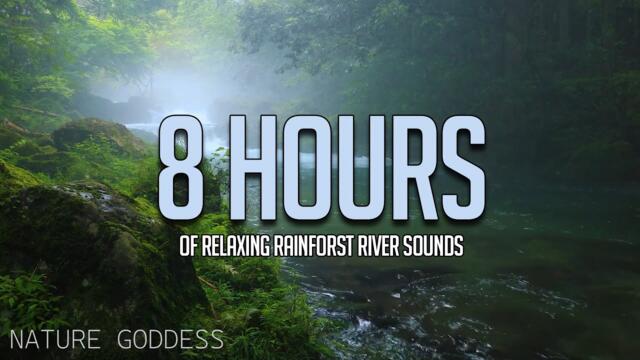 8-Hour RELAXING RIVER Sounds for Relaxing, Sleeping, and Meditation | Fall Asleep in Under 3 Minutes