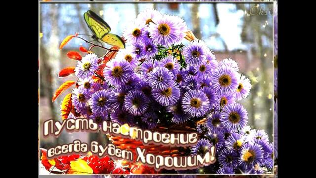 Богдан Тихончик  -  Ти чужая