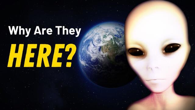 Why Are They Here? | The Richard Dolan Show