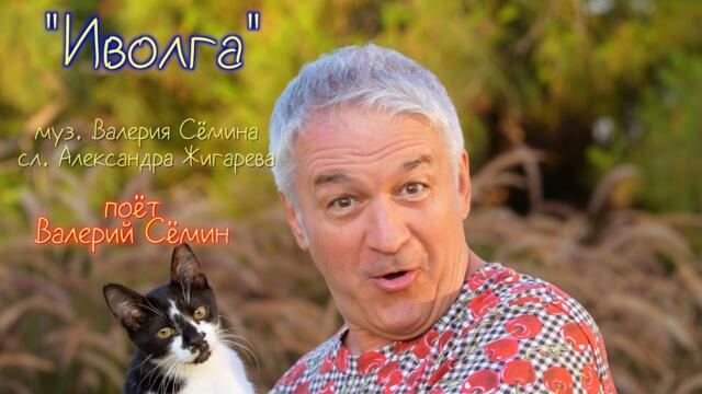 Валерий Сёмин   -   "ИВОЛГА"