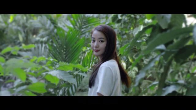 Deep Sea Python Trailer