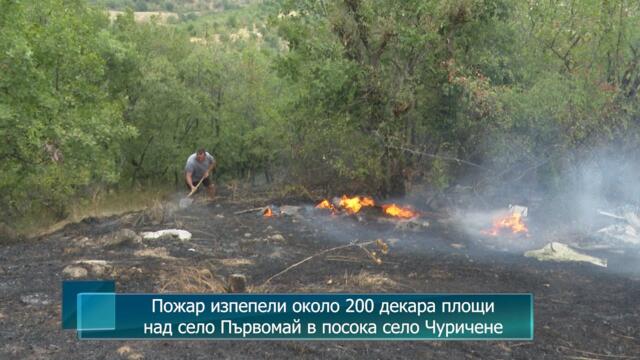 Пожар изпепели над 200 декара площи над село Първомай в посока село Чуричене