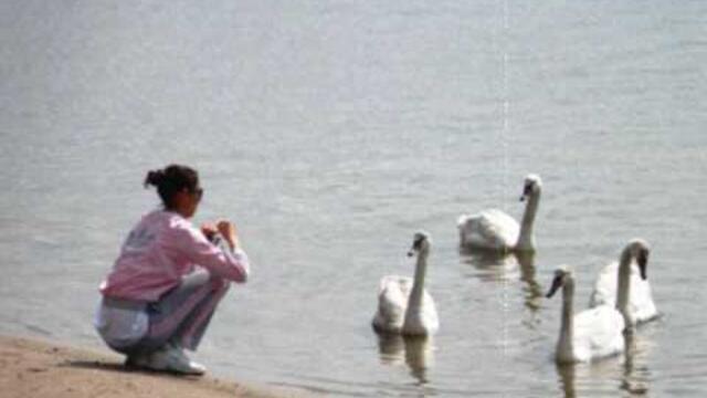 Shte hodime na Varna