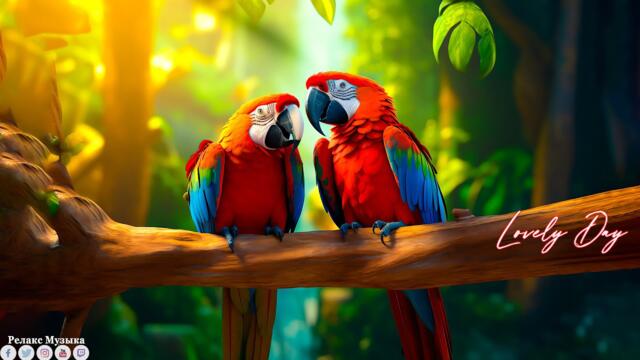 Самая красивая мелодия на свете! Эту музыку можно слушать вечно! Красивая музыка Сергей Грищук